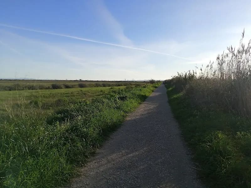 Trilho da Comporta outdoor adventure in Montijo, Montijo