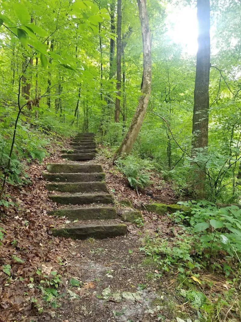 View of Trillium Trail in Fox Chapel, PA