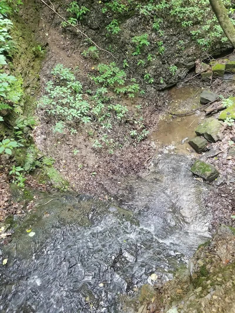 View of Trillium Trail in Fox Chapel, PA