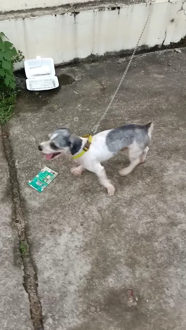 View of Trung tâm hành chính huyện Đông Anh in Đông Anh, HN
