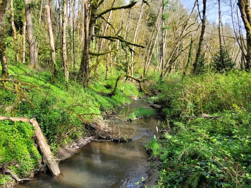 Tryon Creek State Natural Area state park in Lake Oswego, OR