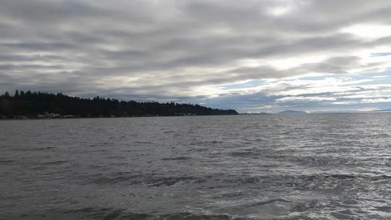 View of Tsawwassen Beach in Tsawwassen, BC