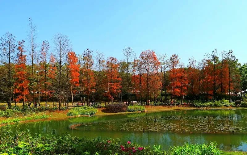 Tsing Yi Park park in Kwai Tsing, HK