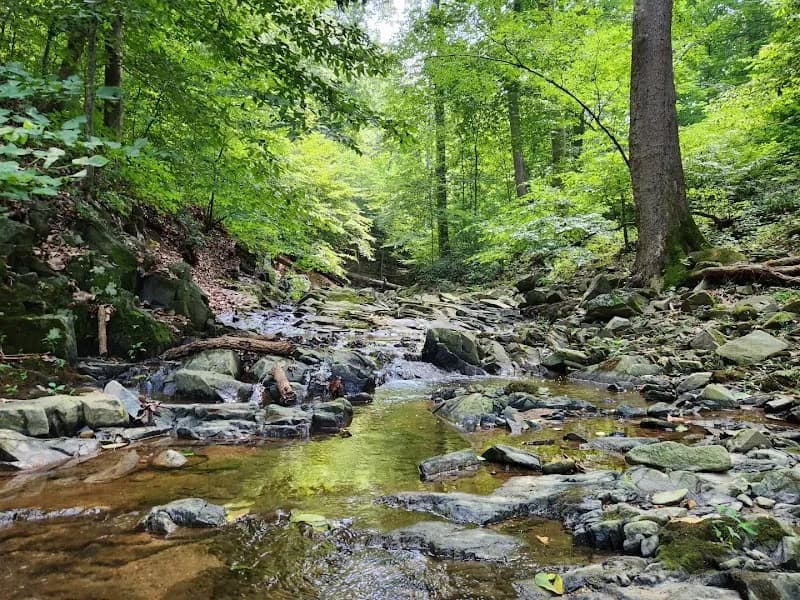 Turkey Run Park park in McLean, VA