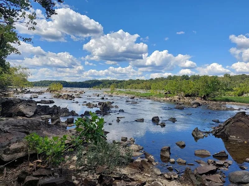 View of Turkey Run Park in McLean, VA