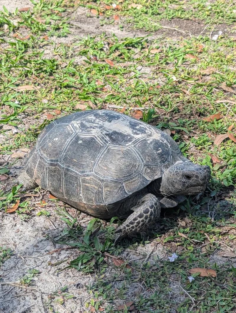 View of Twin Rivers Park in Casselberry, FL