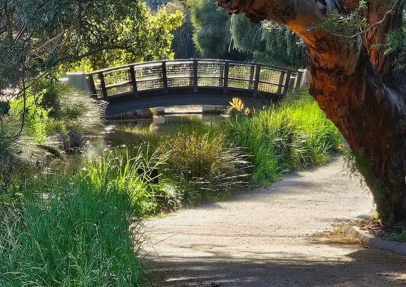 View of UC Davis Arboretum and Public Garden in Davis, CA