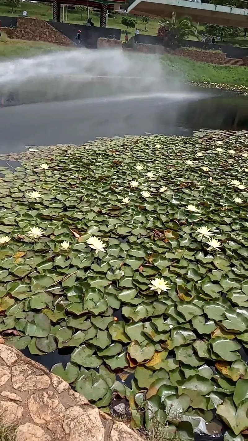 View of Uhuru Park View Point in Upperhill, Nairobi