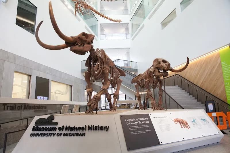 University of Michigan Museum of Natural History tourist attraction in Ann Arbor, MI