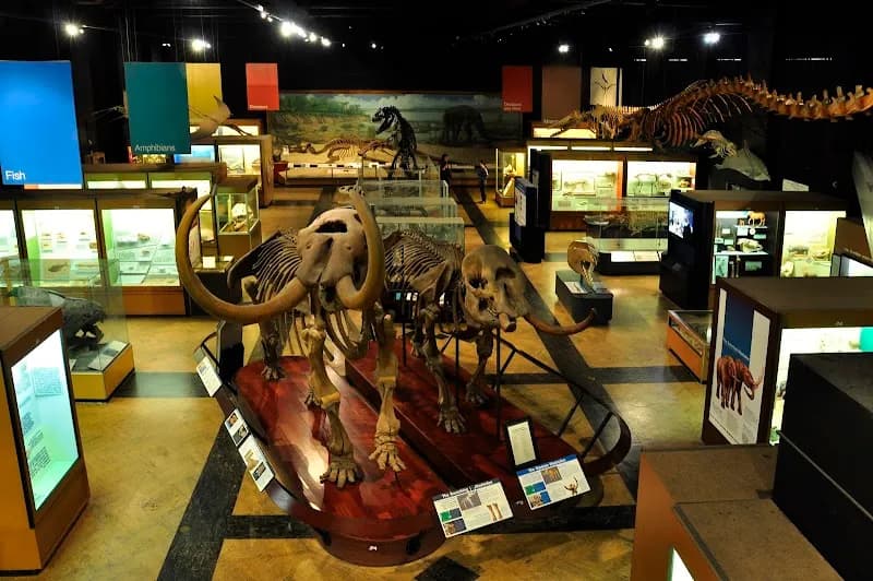 View of University of Michigan Museum of Natural History in Ann Arbor, MI