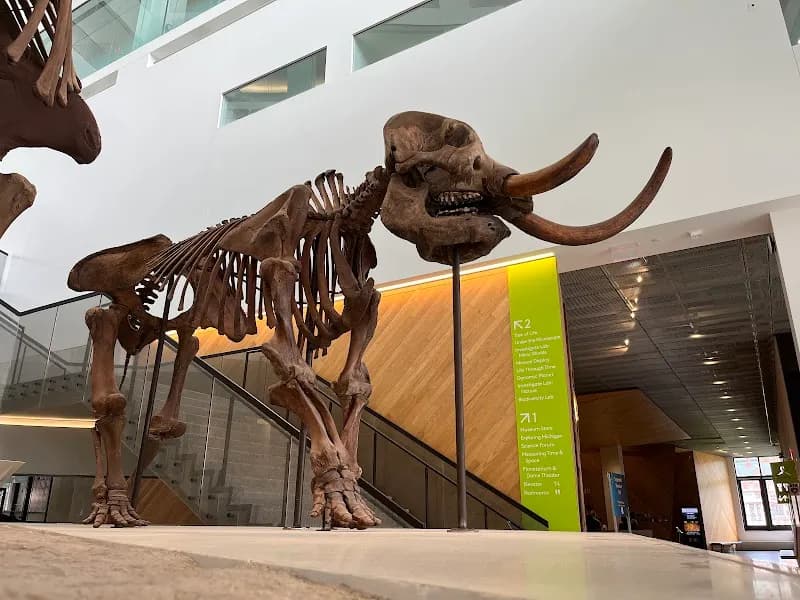 View of University of Michigan Museum of Natural History in Ann Arbor, MI