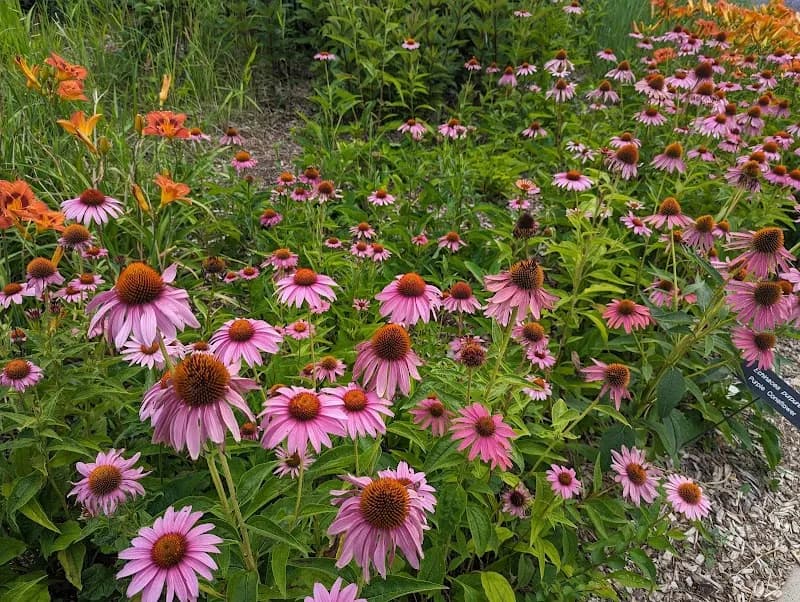 View of University of Minnesota Landscape Arboretum in Chanhassen, MN