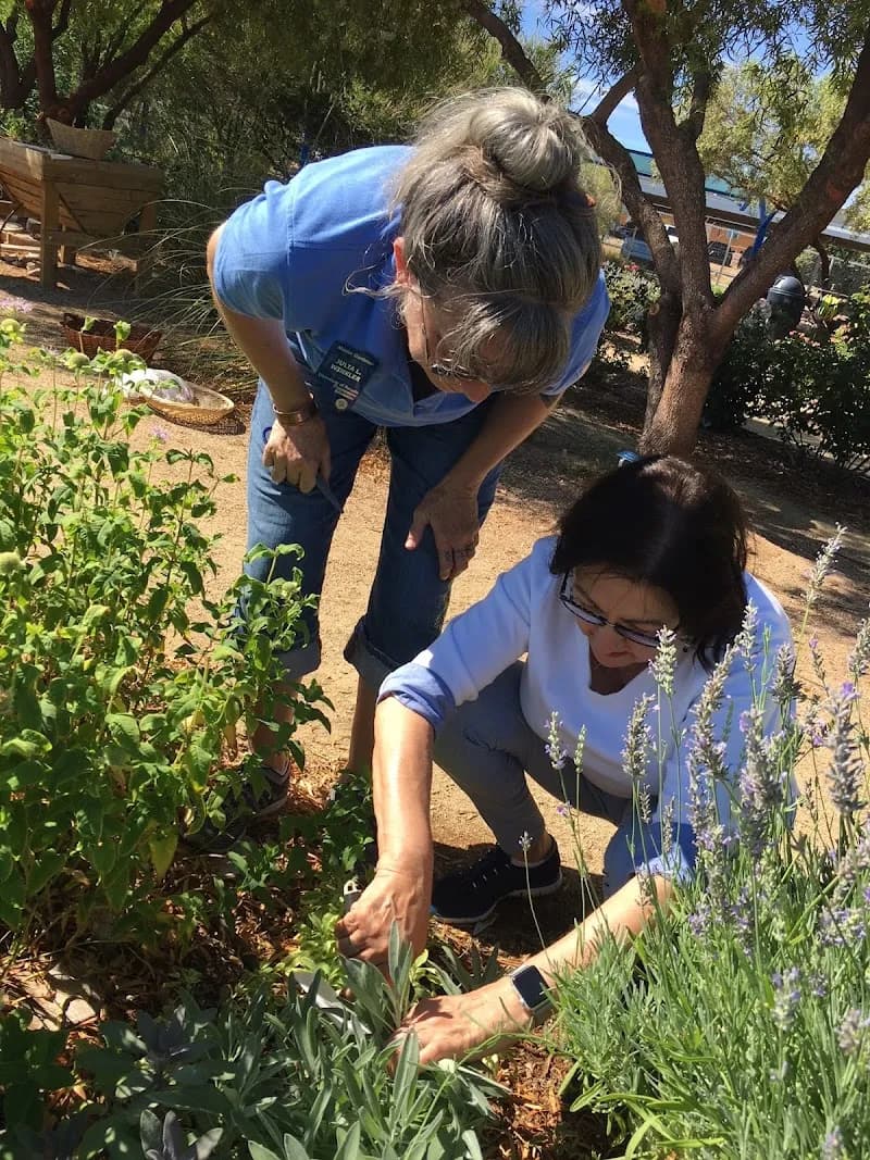 View of University of Nevada, Reno Extension - Clark County Botanic Gardens in Paradise, NV