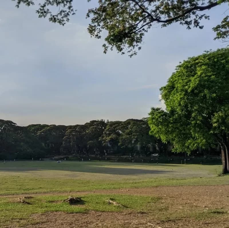 View of University of the Philippines Diliman in Quezon City, NCR