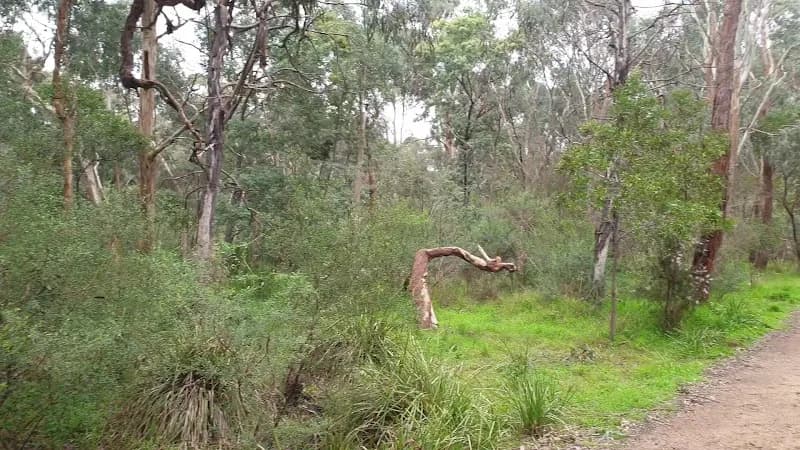 View of Valley Conservation Reserve in Mount Waverley, VIC