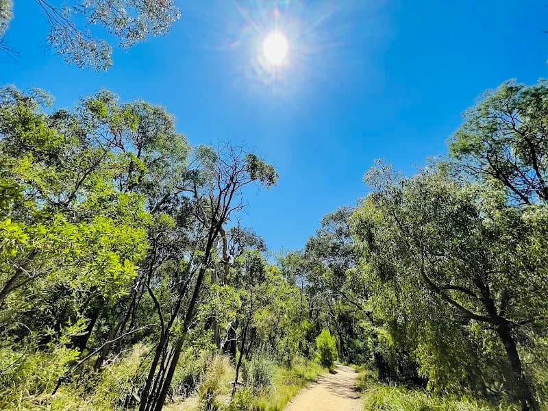 View of Valley Conservation Reserve in Mount Waverley, VIC