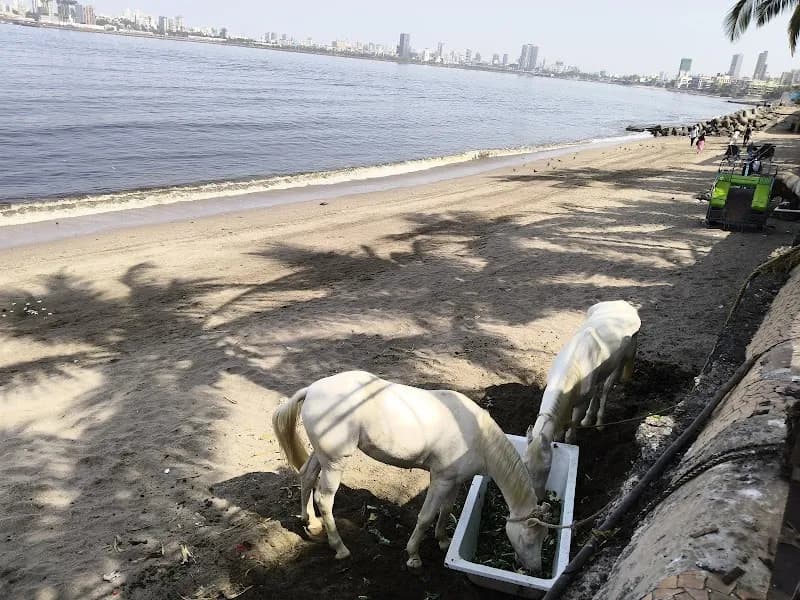 View of Veer Baji Prabhu Udyan in Dadar, MH