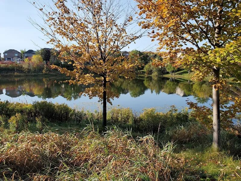 View of Vellore Woods Park in Vaughan, ON
