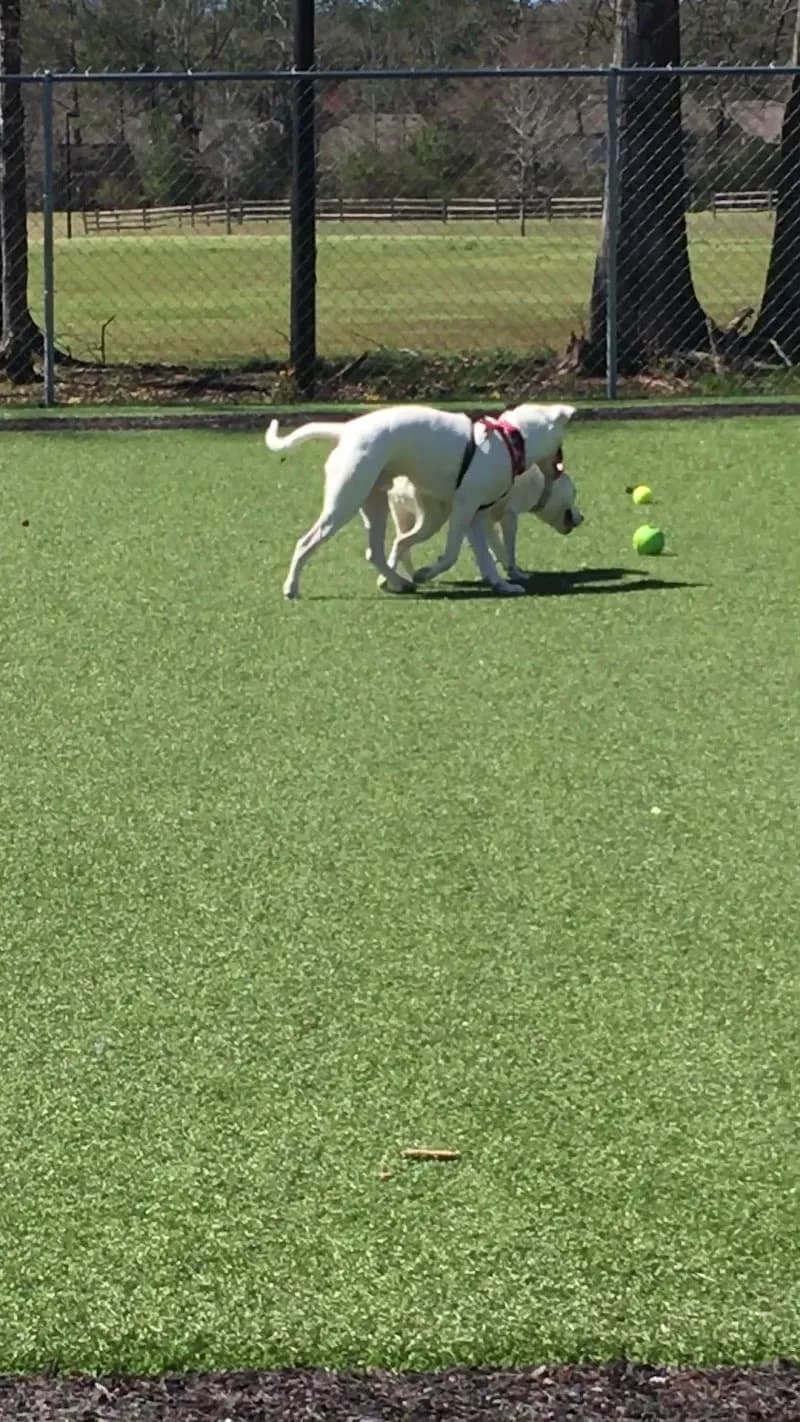 View of Veterans Park in Alabaster, AL