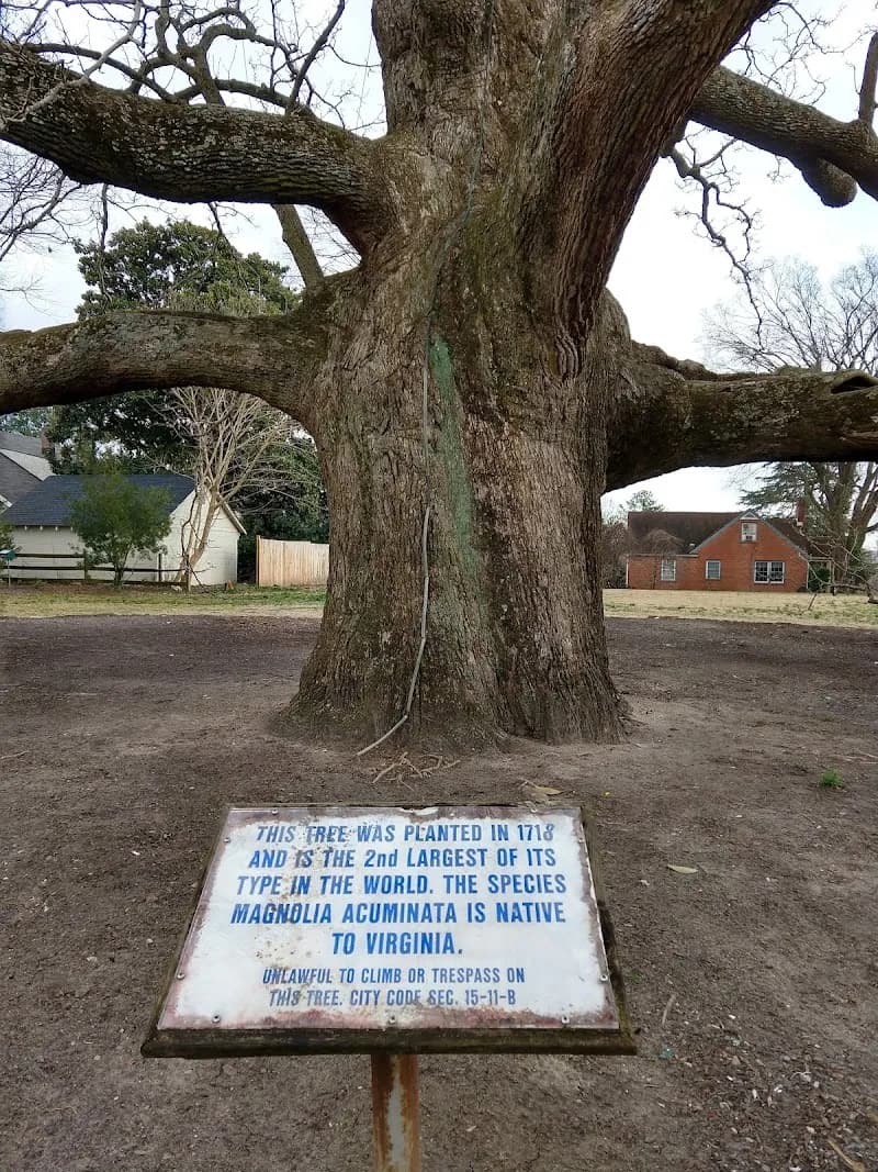 View of Violet Bank Museum in Colonial Heights, VA