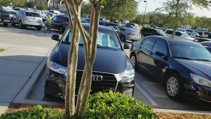 View of Virgin Island Thyme in Casselberry, FL