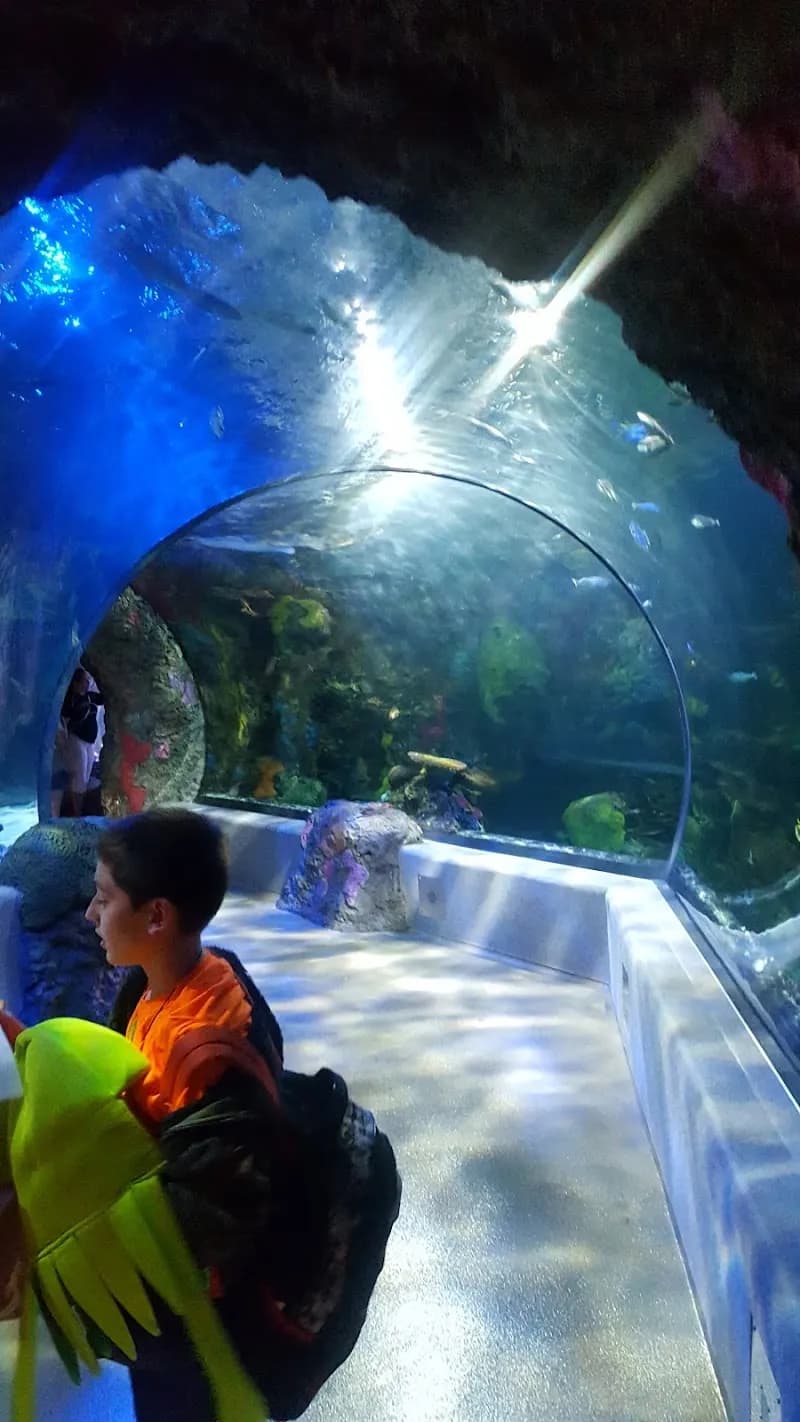 View of Virginia Aquarium & Marine Science Center (Marsh Pavilion) in Virginia Beach, VA