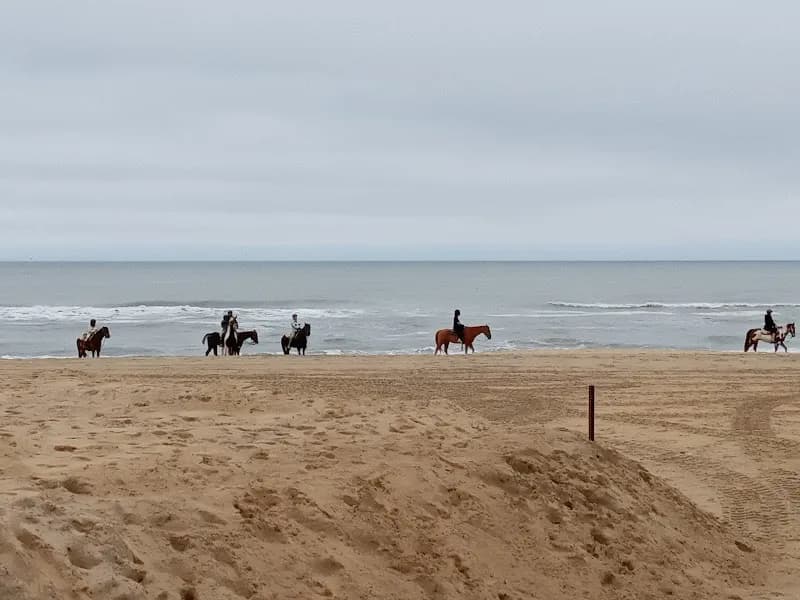 View of Virginia Beach Boardwalk in Virginia Beach, VA