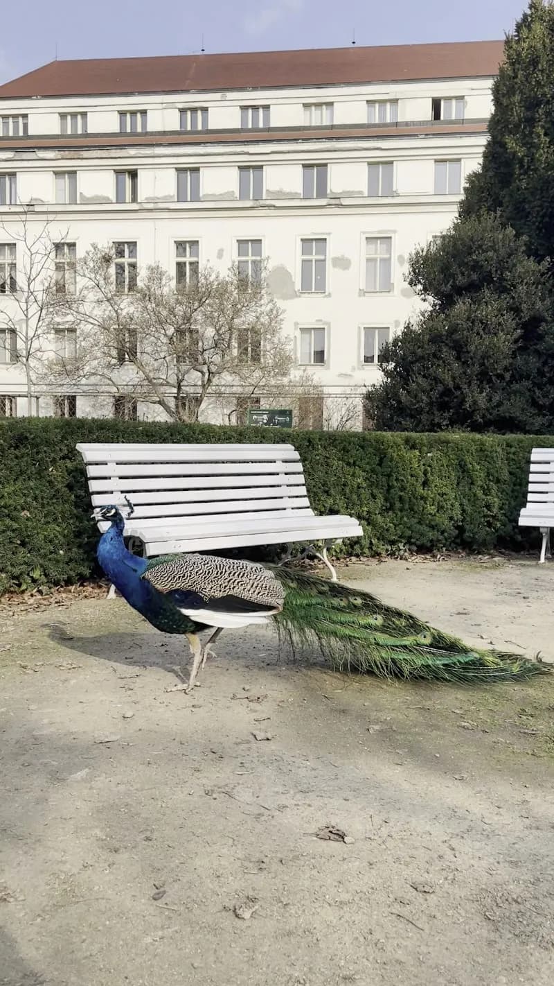 View of Vojanovy sady in Smíchov, CZ