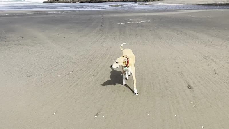 View of Waitakere Ranges Regional Park in Kumeu, AKL