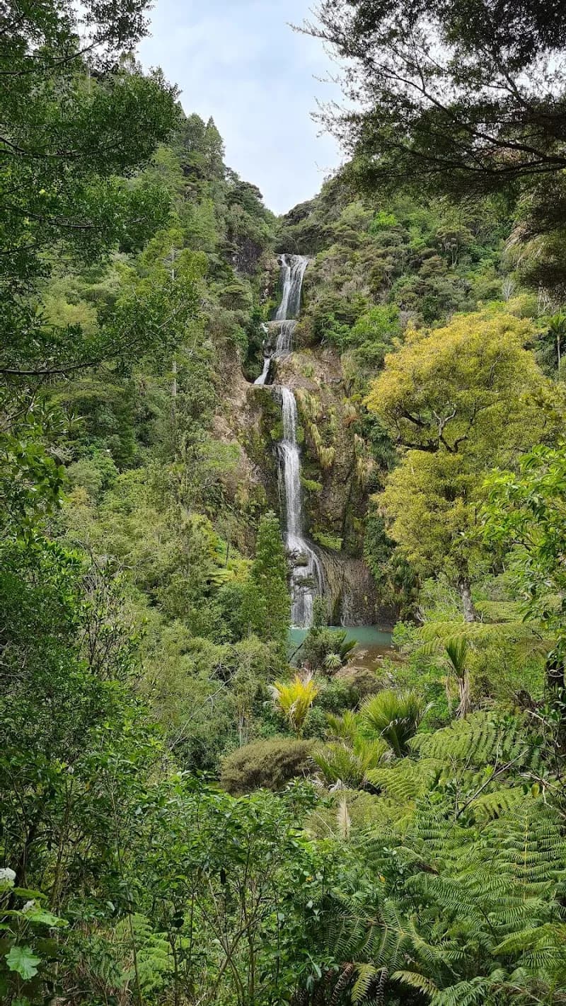 View of Waitakere Ranges Regional Park in Kumeu, AKL