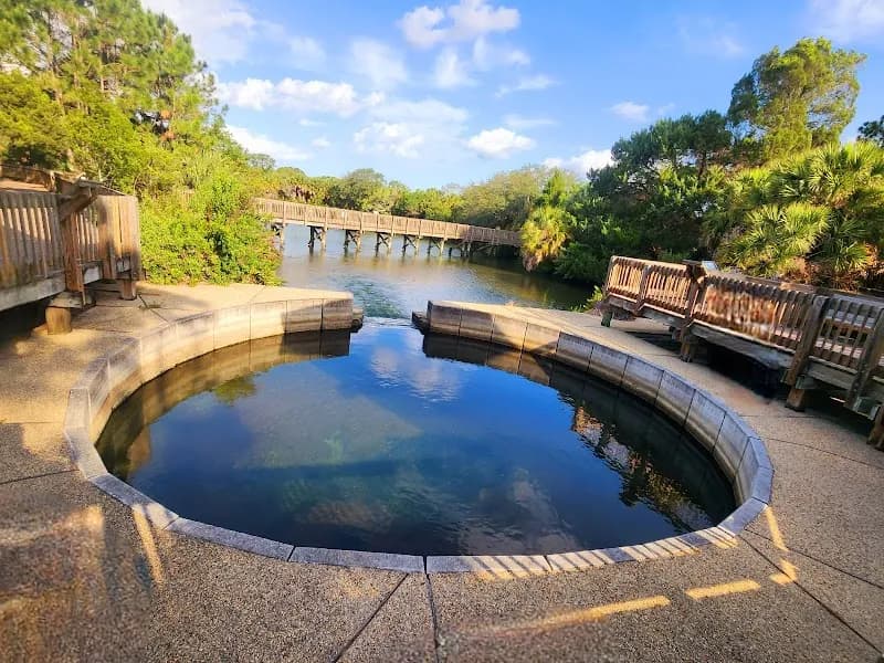 Wall Springs Park park in Palm Harbor, FL