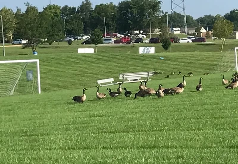 View of Wallace Park in Belton, MO