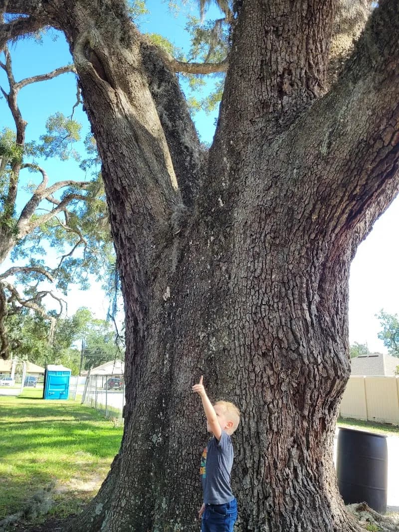 View of Walter Anderson Memorial Park in Mandarin, FL