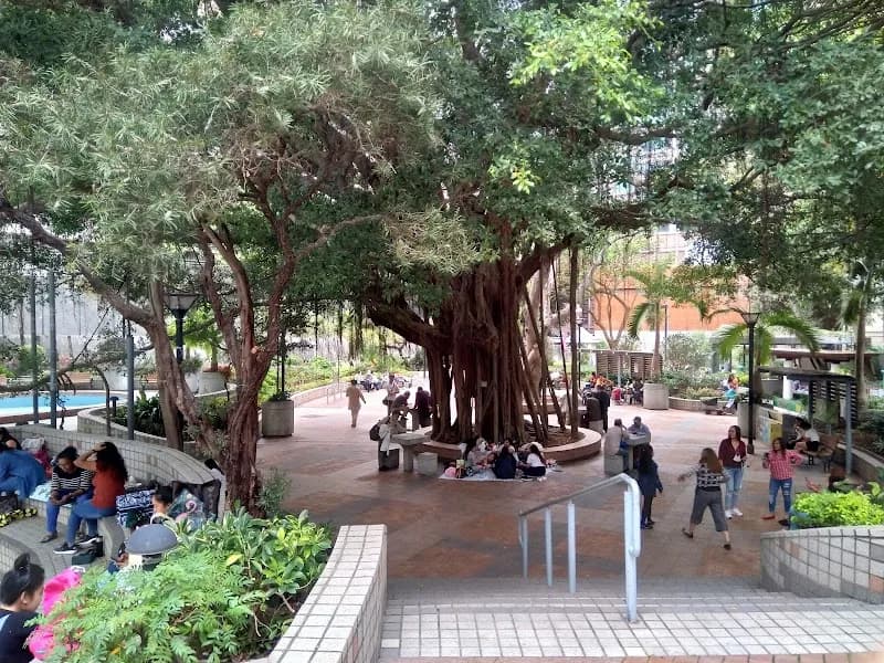 View of Wan Chai Park in Wan Chai, HK