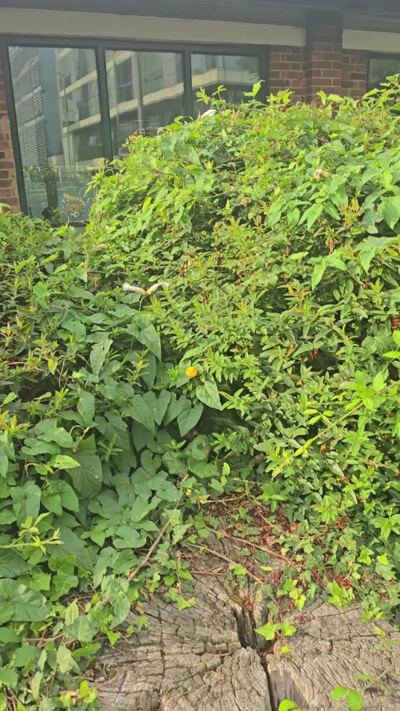 View of Wandle Recreation Centre in Wandsworth, London