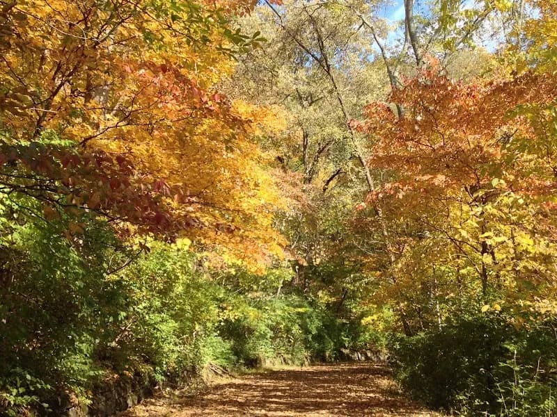 View of Warner Parks in Nashville, TN