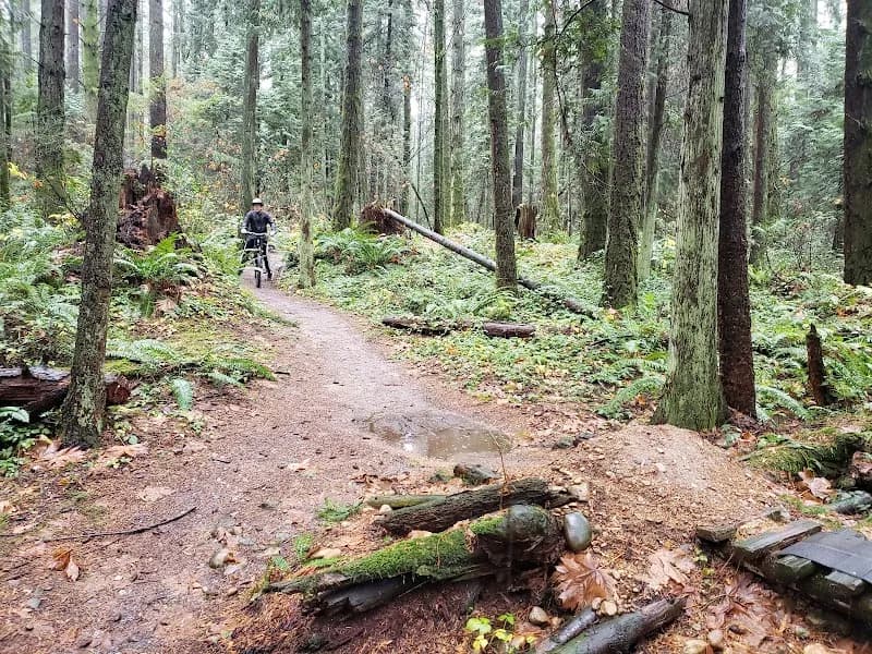 View of Watershed Park in North Delta, BC