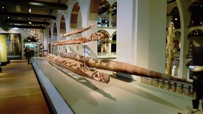 View of Wereldmuseum Amsterdam in Amsterdam, NH