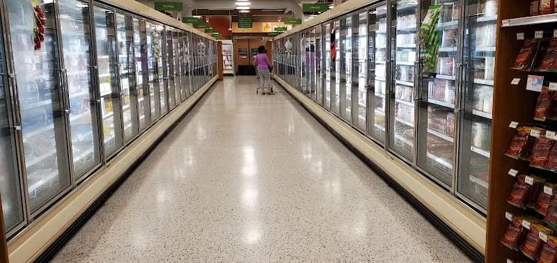 View of Westchase in Westchase, FL