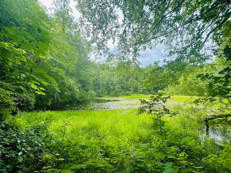 View of Westmoreland Sanctuary in Westchester, NY