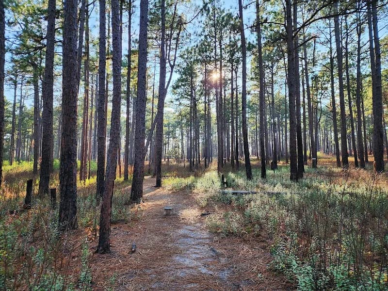 Weymouth Woods - Sandhills Nature Preserve nature preserve in Fayetteville, NC