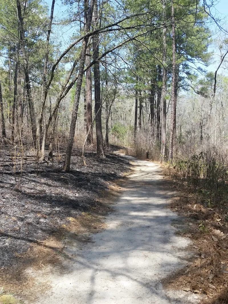 View of Weymouth Woods - Sandhills Nature Preserve in Fayetteville, NC