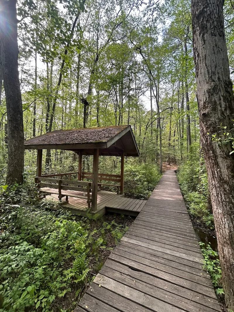 View of Weymouth Woods - Sandhills Nature Preserve in Fayetteville, NC