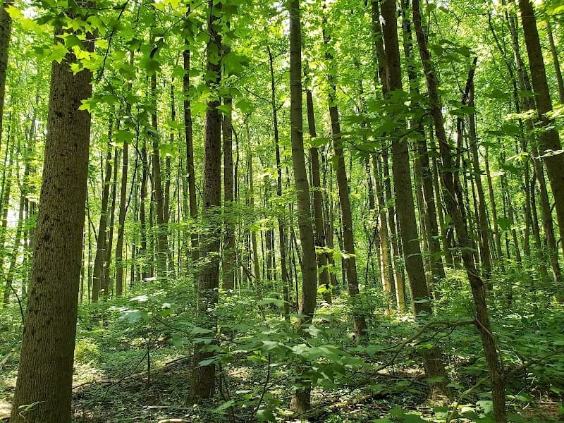 View of Whitemarsh Park in Bowie, MD