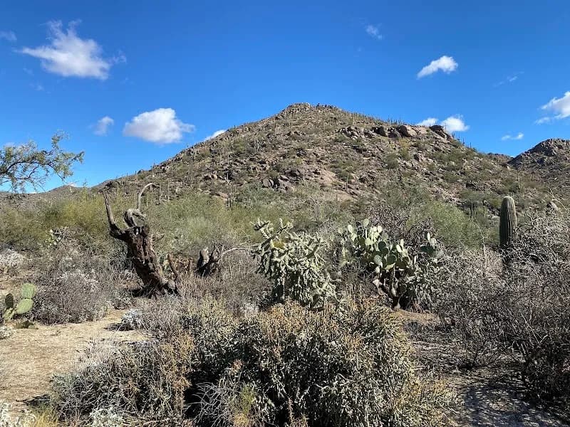 View of Wild Burro Trailhead in Dove Mountain, AZ