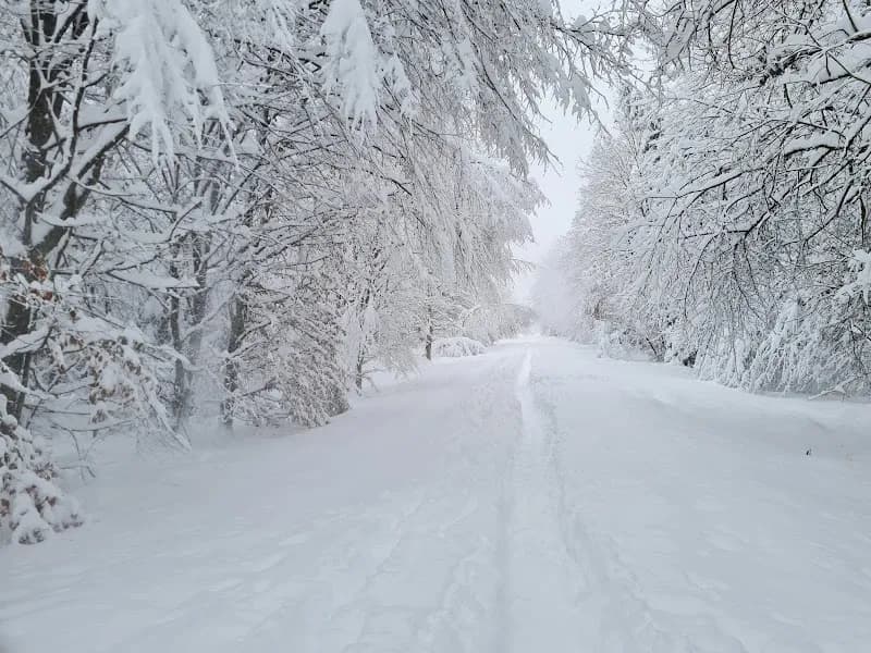 Wildpark Forstenried hiking area in Neubiberg, BY