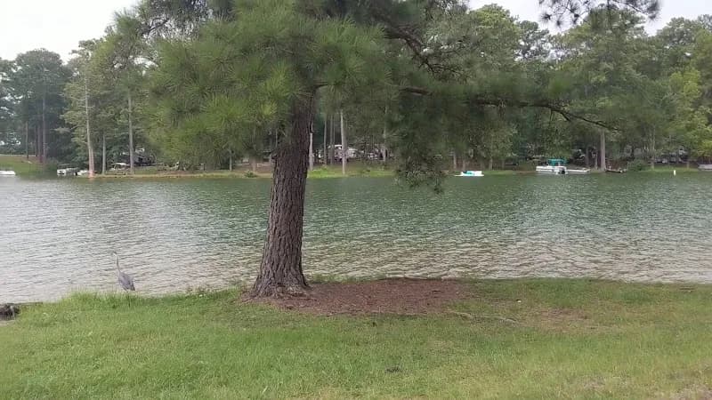 View of Wind Creek State Park in Anniston, AL