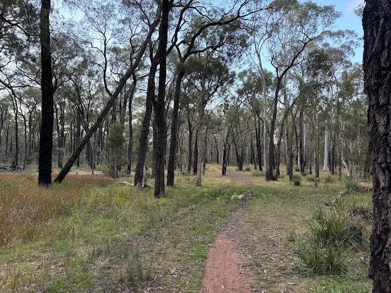 Windsor Downs Nature Reserve nature preserve in Windsor, NSW