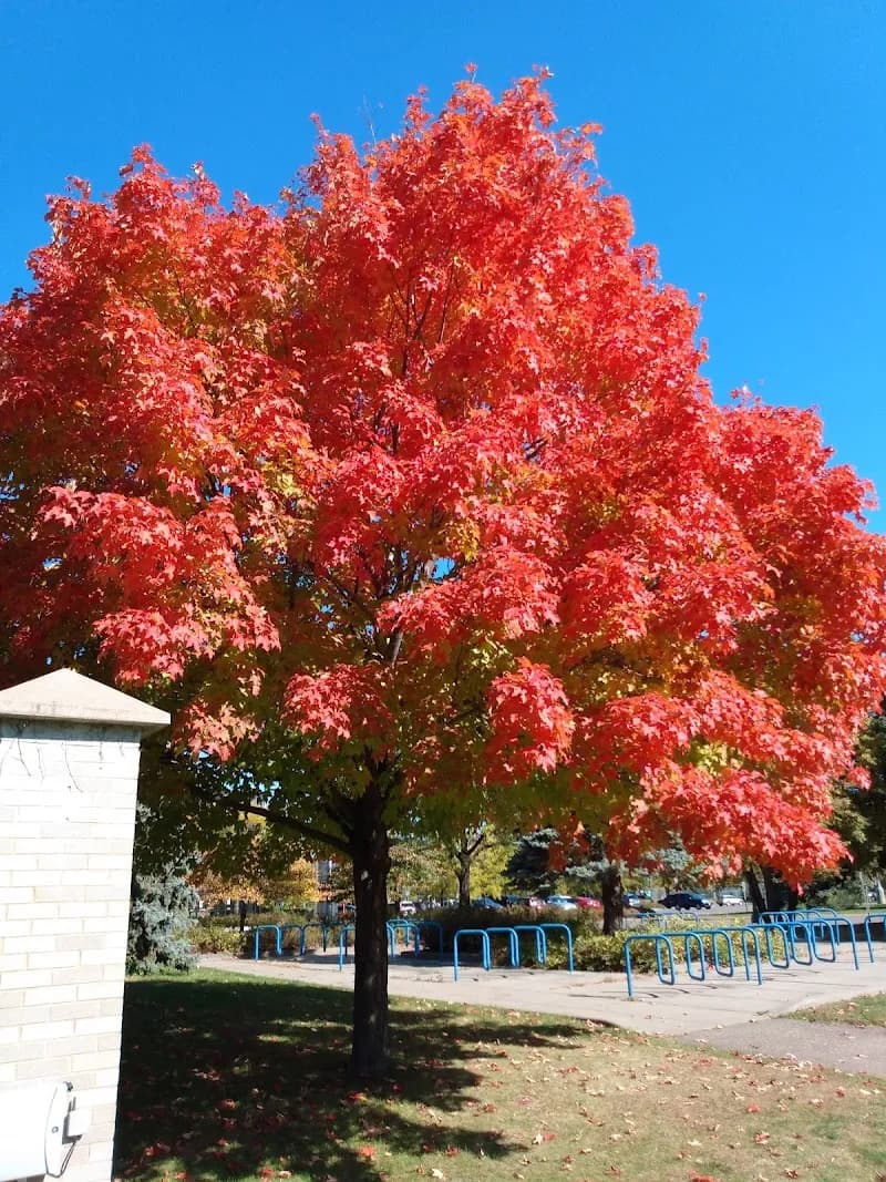 View of Wolfe Park in St. Louis Park, MN