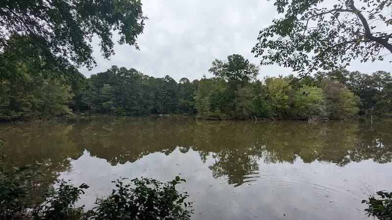 View of Woodlake Community Picnic Pavilion at East West Legacy Park in Moseley, VA